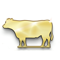 62143293 306109893611749 243181374717034496 n 1.png nc cat107 nc siddbb9e7 nc ohcu52fTuJjjL8AX8h19y5 nc htscontent frt3 1 1